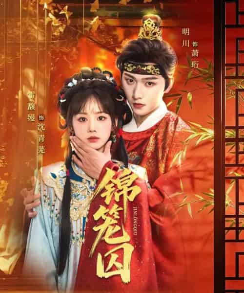 锦笼囚（60集全）明川＆雷馥缦-搜外项目网