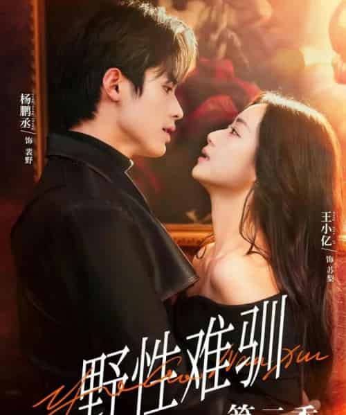 驯野3＆野性难驯第二季（77集全）杨鹏丞＆王小亿＆刘宇航＆张旋＆刘夕语-搜外项目网