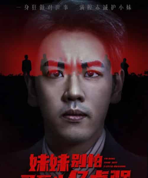 妹妹别怕哥不止亿点强 （68集全） 王楚＆刘龙泽-搜外项目网