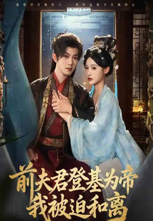 前夫君登基为帝我被迫和离(68集全)蓝博&甜九洛-搜外项目网