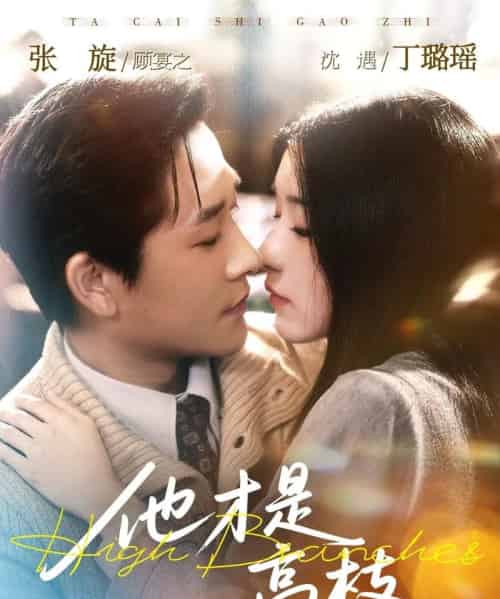 他才是高枝（77集全）张旋＆丁璐瑶-搜外项目网