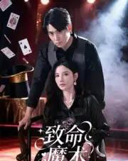 致命魔术（54集全）李小风-搜外项目网
