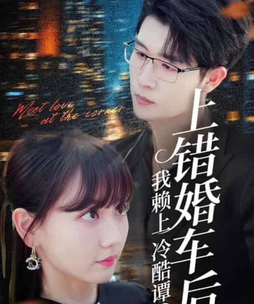 上错婚车后我赖上冷酷谭爷（59集）王裕博＆韩忠羽-搜外项目网