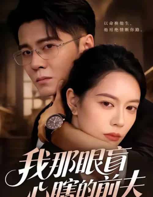 我那眼盲心瞎的前夫（61集全）刘君尧＆李曼-搜外项目网