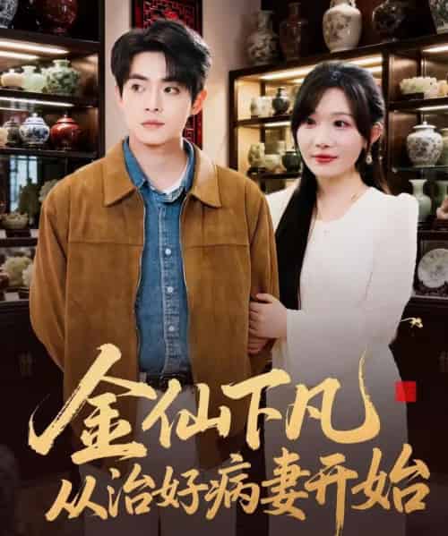 金仙下凡从治好病妻开始（75集全）周逸峰＆周煜枫-搜外项目网