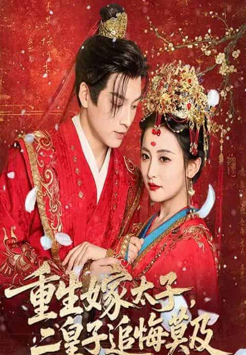 重生嫁太子二皇子追悔莫及（54集）雷笑语＆黄帅帅-搜外项目网