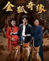 金狐奇缘(42集全)李图图&张旭-搜外项目网