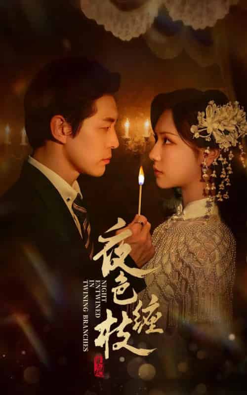 夜色缠枝(60集全)赵廷义&王云云-搜外项目网