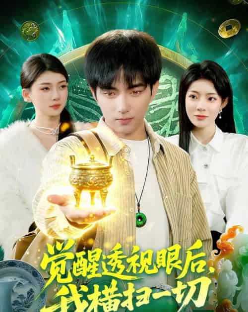 觉醒透视眼后，我横扫一切（81集全）穆豪＆李芮峤-搜外项目网