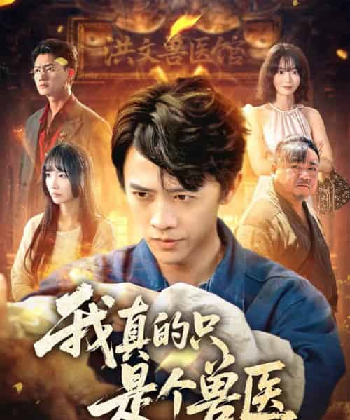 我真的只是个兽医（64集）赵菲＆陈外-搜外项目网