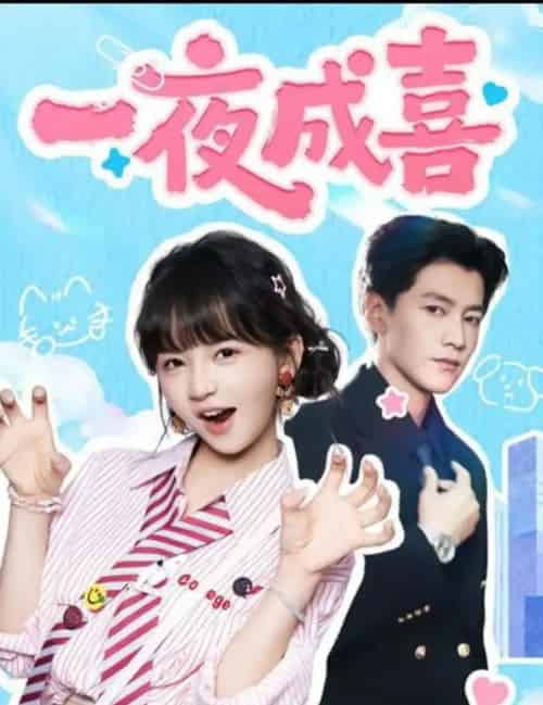 一夜成喜(60集全)金泽&徐波滴(万喜)-搜外项目网