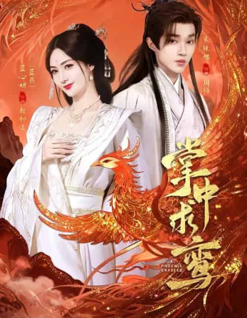 掌中求鸾（80集全）朱镜旭＆蓝心妍-搜外项目网