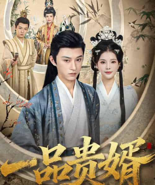 一品贵婿（80集全）孙景琛＆万羽沫-搜外项目网