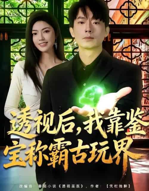 透视后，我靠鉴宝称霸古玩界（80集全）邵迪＆程昱泓-搜外项目网