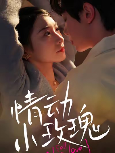 情动小玫瑰（100集全）钟政＆耿顾钰涵-搜外项目网