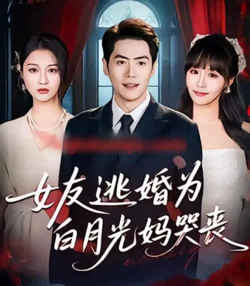 女友逃婚为白月光妈哭丧(59集全)刘嘉文&王茉晗-搜外项目网