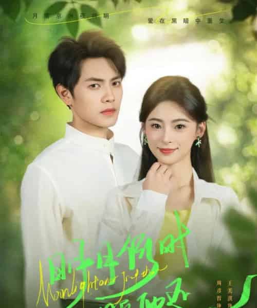 明月何时照他还（73集）周彦哲＆王美淇-搜外项目网