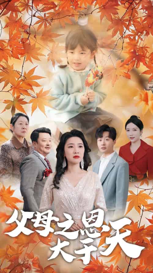 父母之恩大于天（38集）姜山-搜外项目网