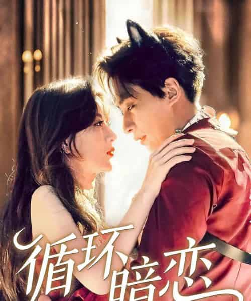 循环暗恋（79集）崔旭阳＆谭伟英-搜外项目网