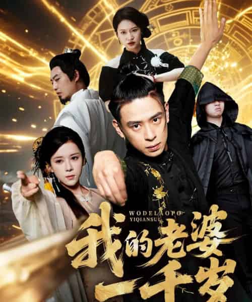 我的老婆一千岁（63集）苏弋涵＆黄路评-搜外项目网