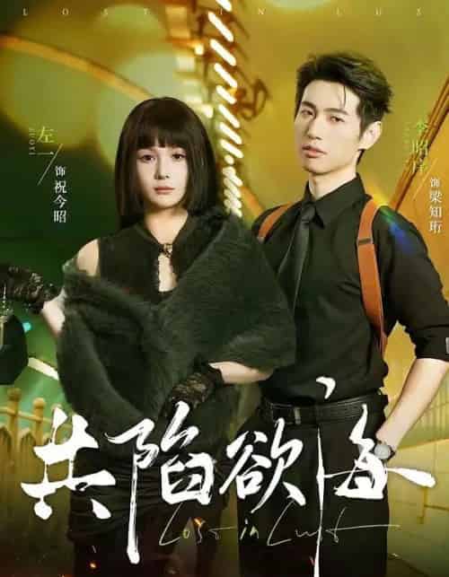 共陷欲海（66集全）李昭序＆左一-搜外项目网