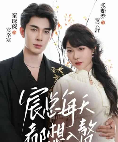 宸总每天都想入赘（65集全）秦琛琛＆张贻乔-搜外项目网
