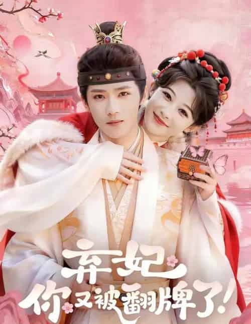 弃妃,你又被翻牌了(64集全)郭芷铭&孙妍恩-搜外项目网