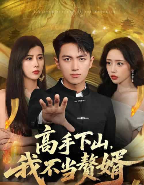 高手下山我不当赘婿(66集全)苏凝&鲜嘉臣-搜外项目网