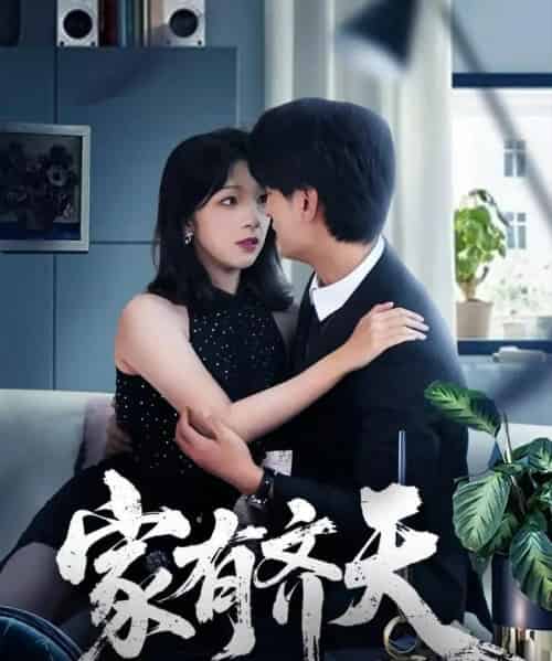 家有齐天（60集全）王国豪杰＆孙梦蝶＆曲美霖-搜外项目网