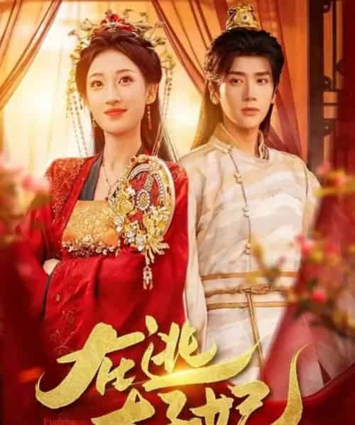 在逃太子妃（64集全）李明峻＆王宇涵-搜外项目网