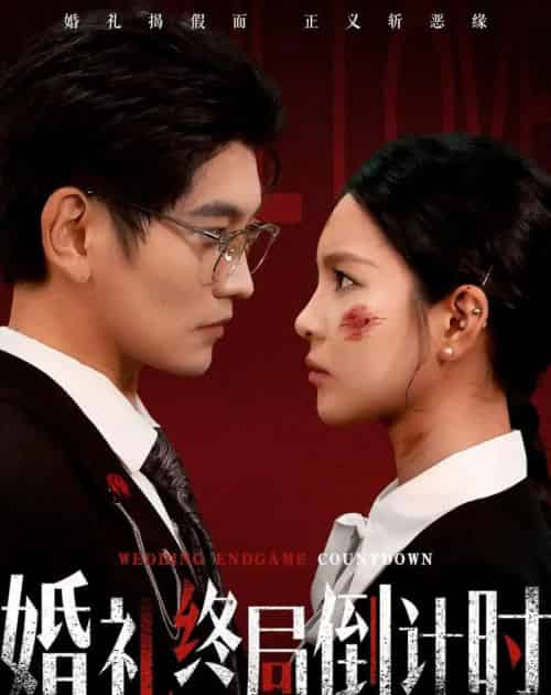 婚礼终局倒计时（60集全）宸天＆余卓阳-搜外项目网