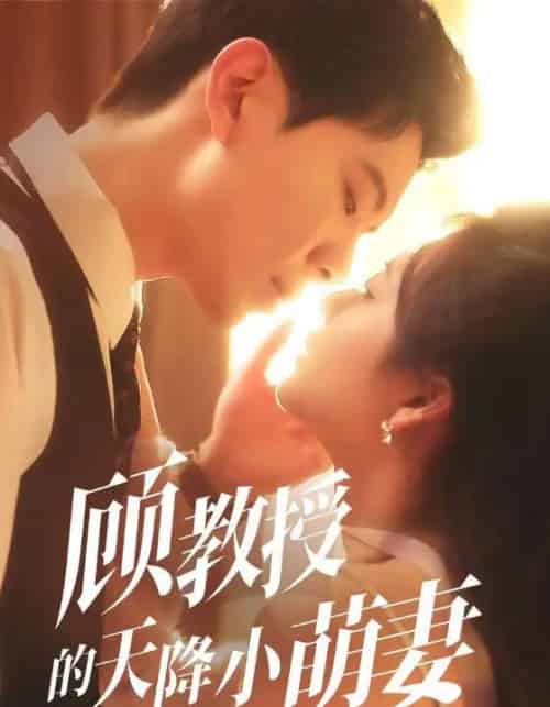 顾教授的天降小萌妻（70集）黄浩雯＆刘美娜-搜外项目网