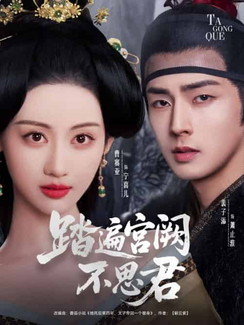 踏遍宫阙不思君（75集）裴子添＆曹赛亚-搜外项目网