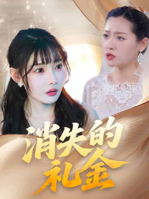 消失的礼金（30集）柳天杨＆欧娜-搜外项目网