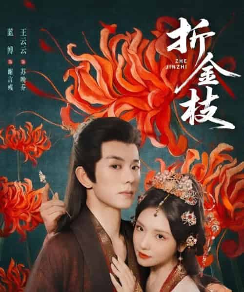 折金枝(73集)蓝博&王云云-搜外项目网