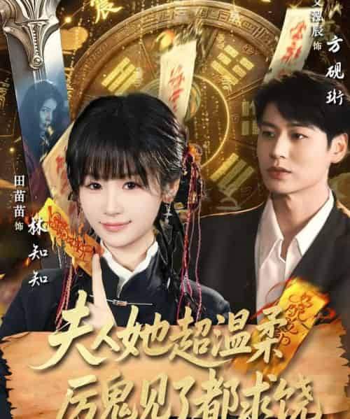 夫人她超温柔厉鬼见了都求饶（64集全）艾泓辰＆田苗苗-搜外项目网