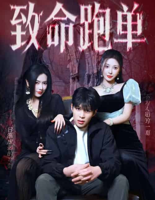 致命跑单（62集全）李瞳潼＆辛润茜-搜外项目网