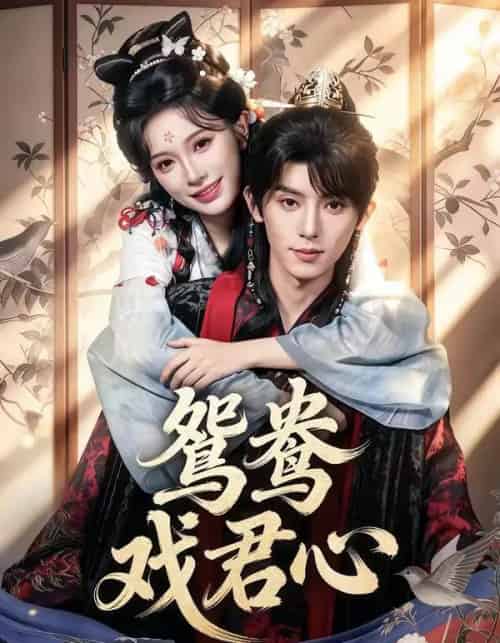 鸳鸯戏君心（60集全）宋益凡＆金雅娜-搜外项目网