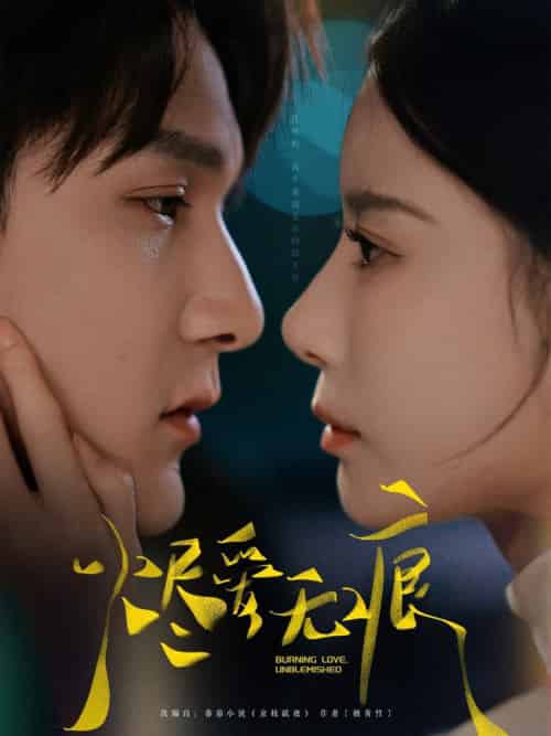 烬爱无痕（92集全）栗子千＆张珊-搜外项目网