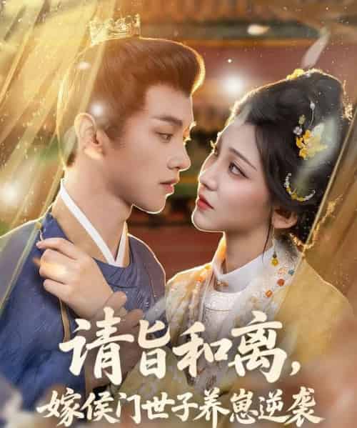 请旨和离嫁侯门世子养崽逆袭（65集）陈外＆孙千予-搜外项目网