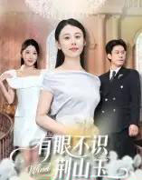 有眼不识荆山玉（58集全）徐香颖-搜外项目网