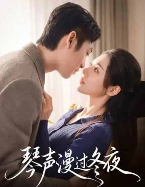 琴声漫过冬夜（61集全）汐炎＆蔡明哲-搜外项目网