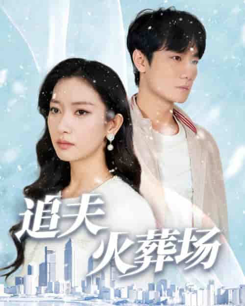 追夫火葬场（31集全）-搜外项目网