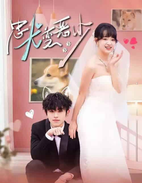 惊！我家来福变恶少了＆忠犬变恶少（80集全）曹竣柯＆赵影-搜外项目网