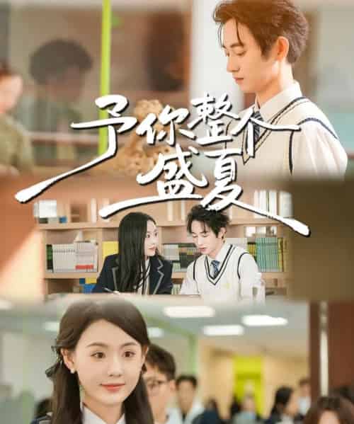 予你整个盛夏(79集全)刘安歌&项泰诚-搜外项目网