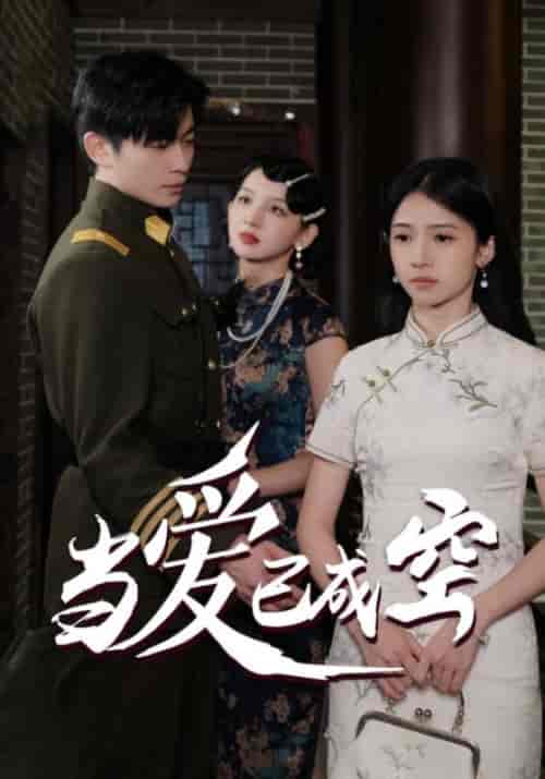 当爱已成空（58集全）-搜外项目网