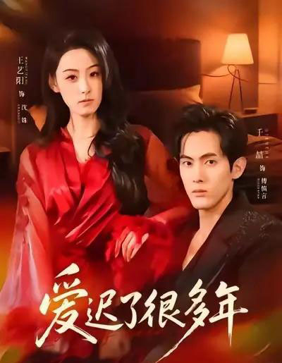 爱迟了很多年（73集全）王艺阳＆千喆-搜外项目网