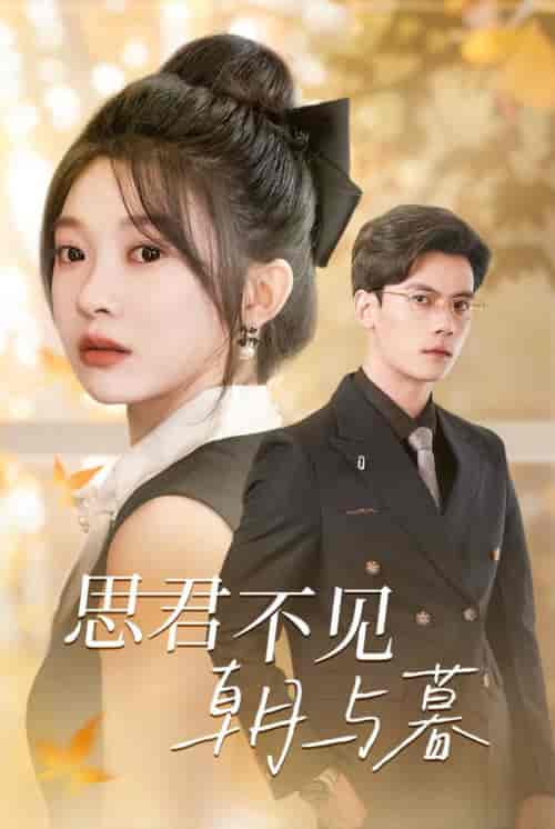 思君不见朝与暮（46集全）陈刚＆彭瑶-搜外项目网