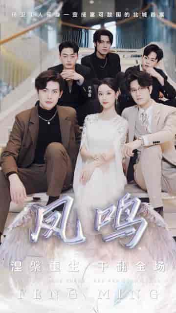 凤鸣（48集）-搜外项目网