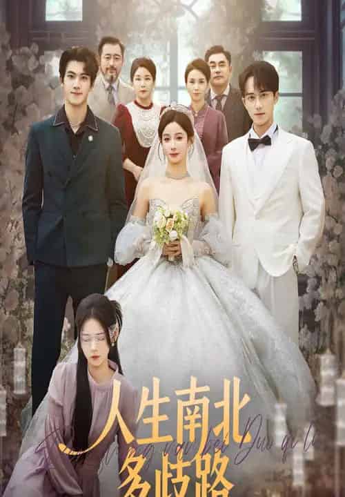 人生南北多歧路（45集全）谭心＆辛灏云-搜外项目网